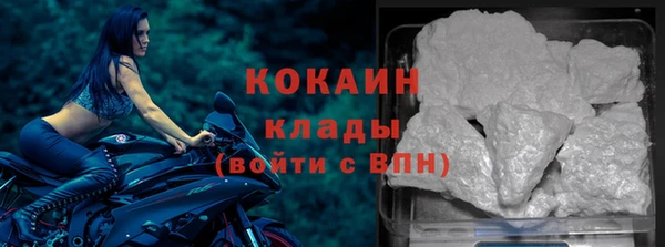 бошки Белокуриха