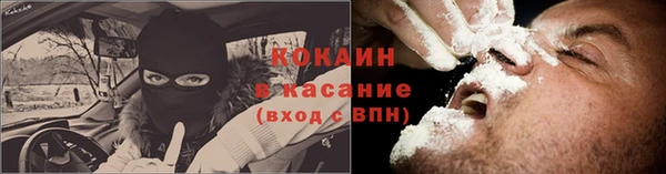 бошки Белокуриха