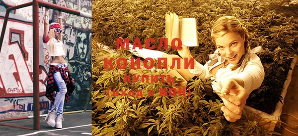 mix Богородицк