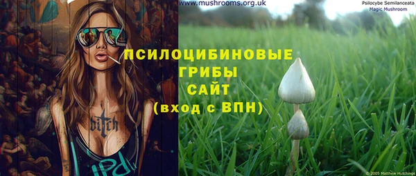 mix Богородицк