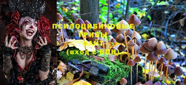 меф VHQ Богданович
