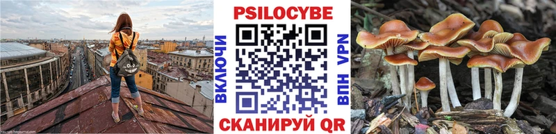 Галлюциногенные грибы прущие грибы  Верещагино 
